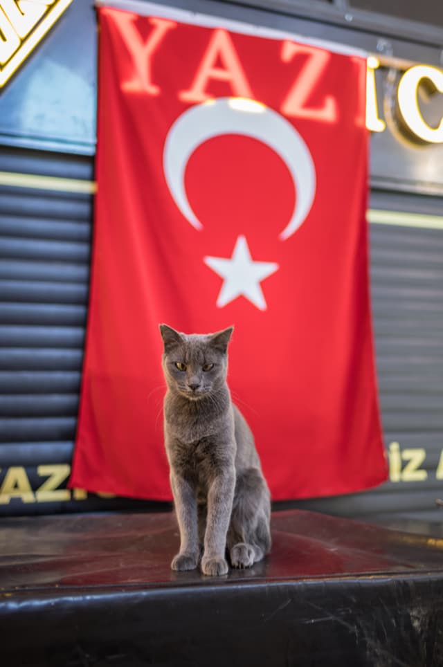 Istanbul