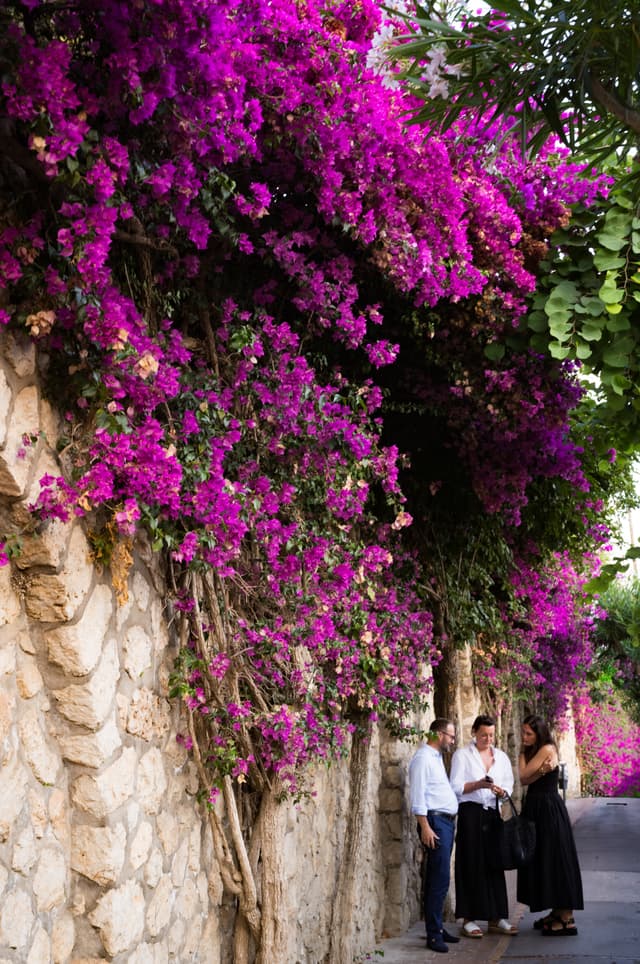 Capri